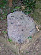 4.30.06 Hamilton Mountain 114